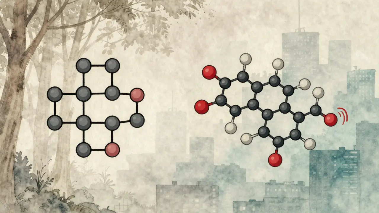 Wissenschaftliche Darstellung von CBD- und THC-Molekülen, die unterschiedlich auf Körperrezeptoren wirken.