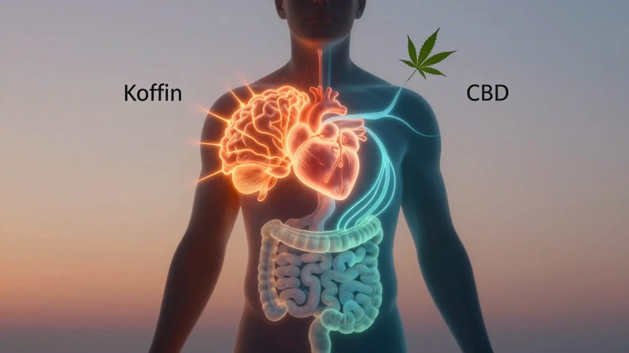 Silhouetten eines Körpers mit energiebasierten Wellen, die Koffein und CBD darstellen, in sanften Farben.