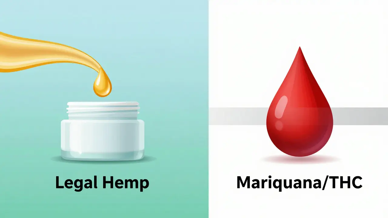 Konzeptionelle Darstellung der rechtlichen Trennung von Hanf und Marihuana.